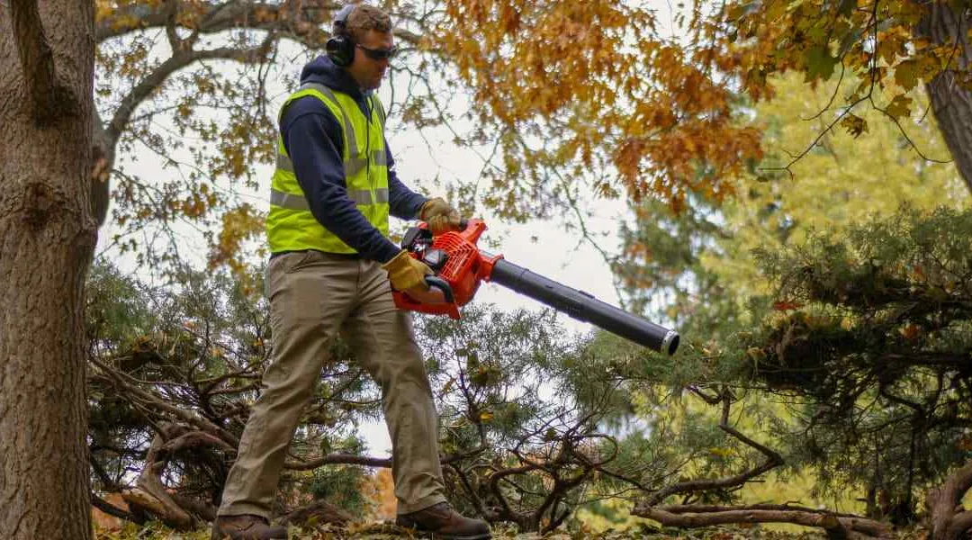 An Overview of the Uses of Leaf Blowers