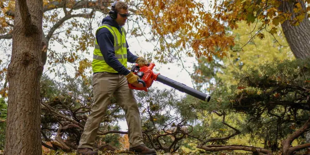 An Overview of the Uses of Leaf Blowers new img